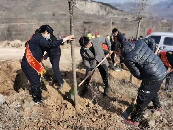 植树添新绿，不负好春光！山东三箭集团开展义务植树活动